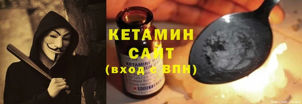 индика Вяземский