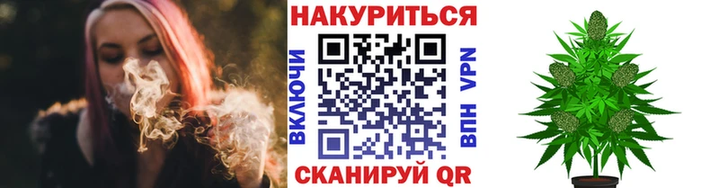 Конопля Bruce Banner  Болохово 